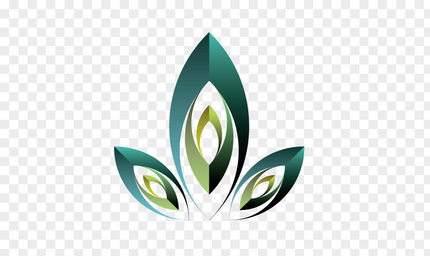 Peacock Pattern,Vector Green Logo Illustration PNG