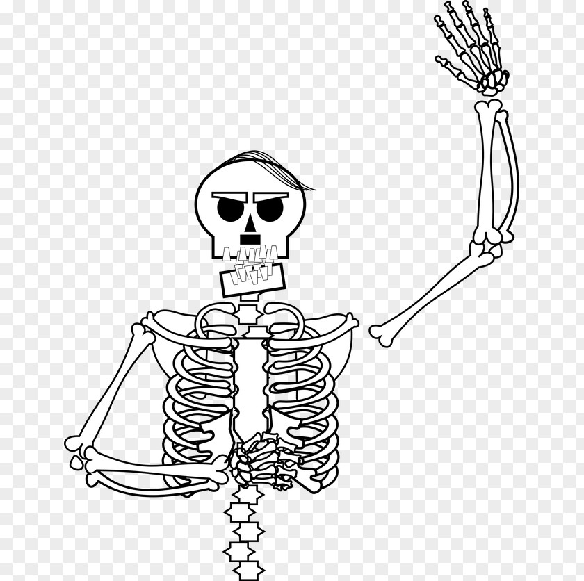 Skelleton Homo Sapiens Human Skeleton Line Art Bone Clip PNG