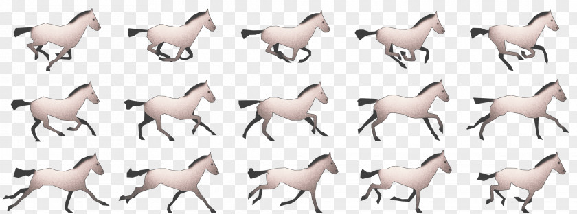 Sprite Antelope Walk Cycle Goat Animal Cattle PNG