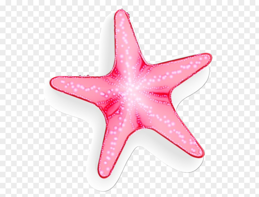 Star Marine Invertebrates Starfish Pink PNG