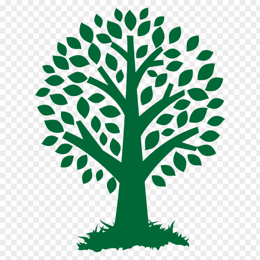 Stencil Plant Stem Leaf Green Tree Line PNG