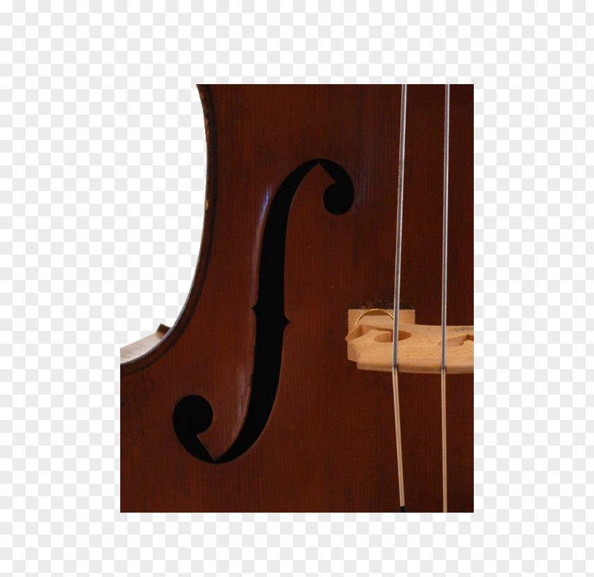 Violin Bass Double Violone Viola Octobass PNG
