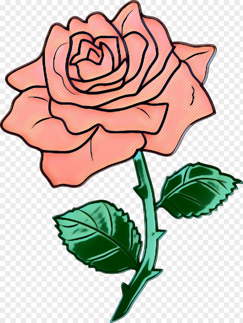 Garden Roses Cabbage Rose Floral Design Clip Art Cut Flowers PNG