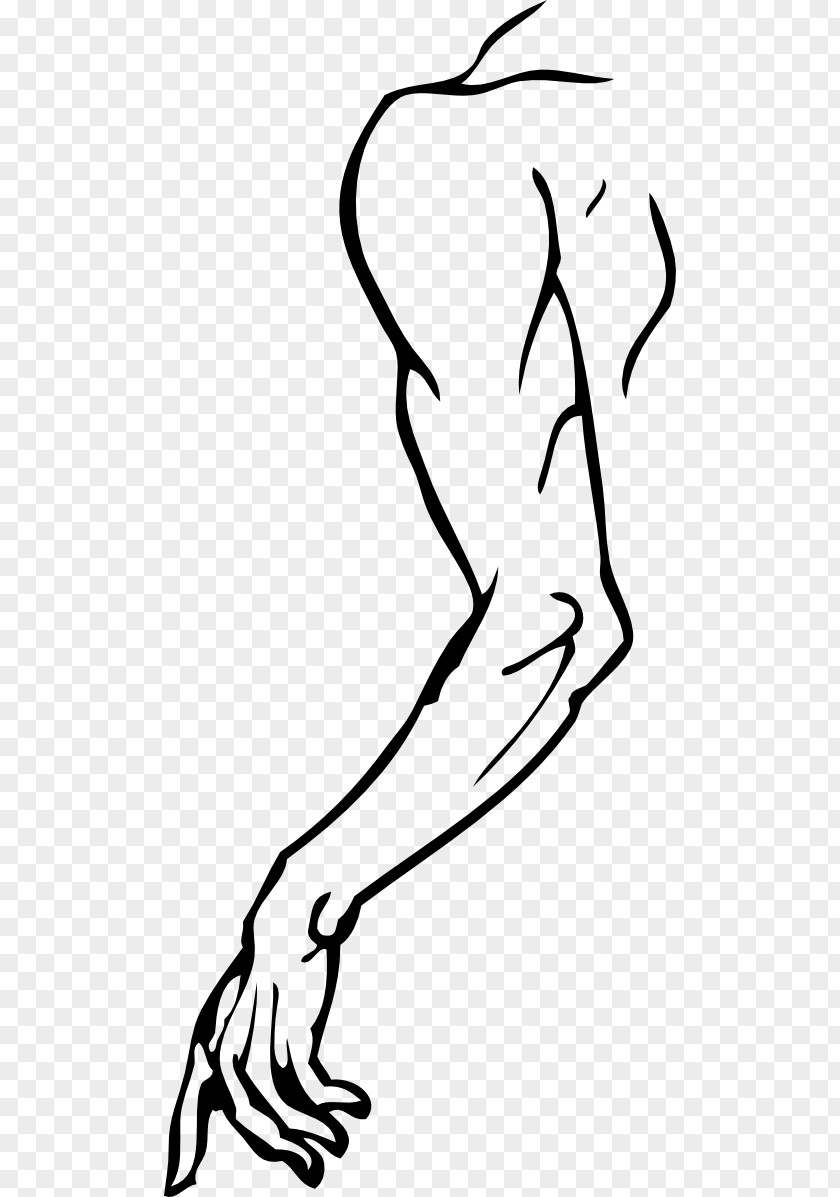 Arm Human Body Clip Art PNG