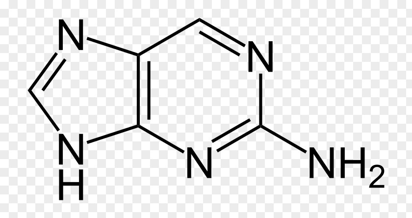 Cyanuric Acid Adenine Pyridine Purine Guanine PNG