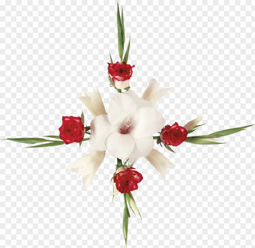 Flower Lilium .de PNG