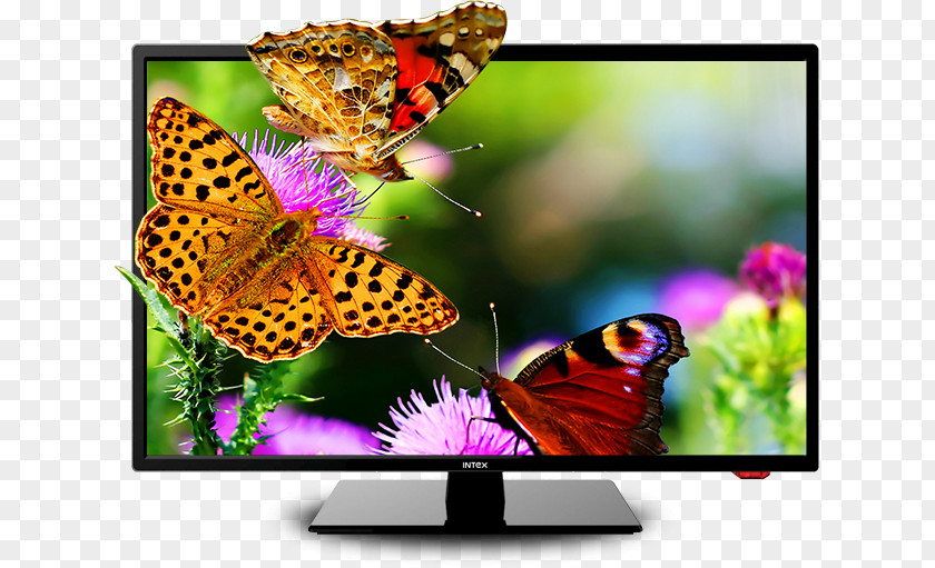 Led Tv LED-backlit LCD High-definition Television Desktop Wallpaper 4K Resolution PNG
