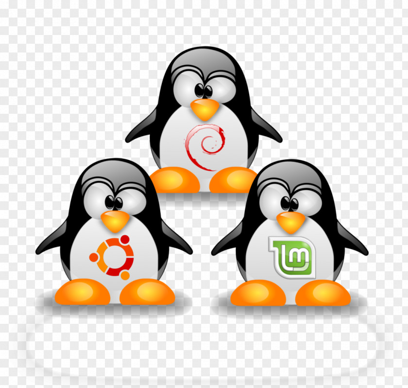 Linux Kernel Ubuntu Operating Systems Distribution PNG