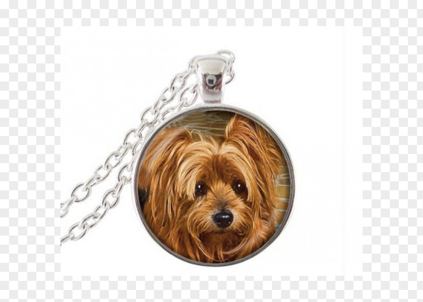 Necklace Pit Bull Charms & Pendants Jewellery Gold PNG
