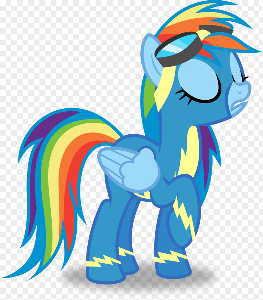 Rainbow Dash Rarity Twilight Sparkle Pinkie Pie Pony PNG