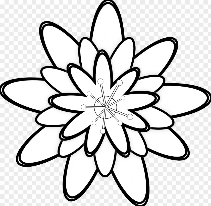 BUNGA Black And White Flower PNG