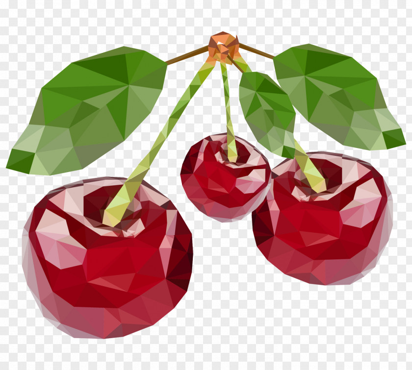 Cherry Mosaic Geometry Color PNG