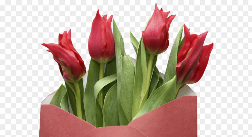 Envelope Decoration Romantic Tulips Wilayah God In Islam Axefd Al-Ghadir Alhamdulillah PNG