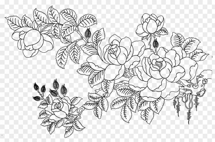 Flower Sketch Rosa Multiflora Drawing PNG