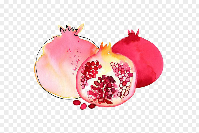 Pomegranate Watercolor Granada Painting PNG