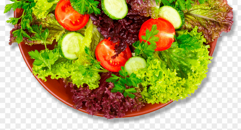 Salad Hamburger Lettuce Recipe Capitata Group PNG