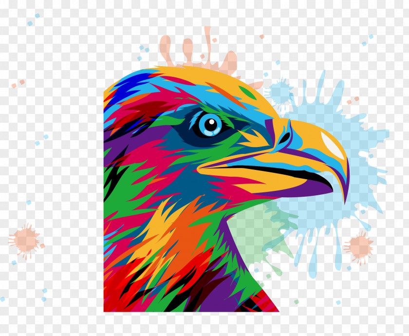 Vector Owl Royalty-free Euclidean Stock Photography PNG