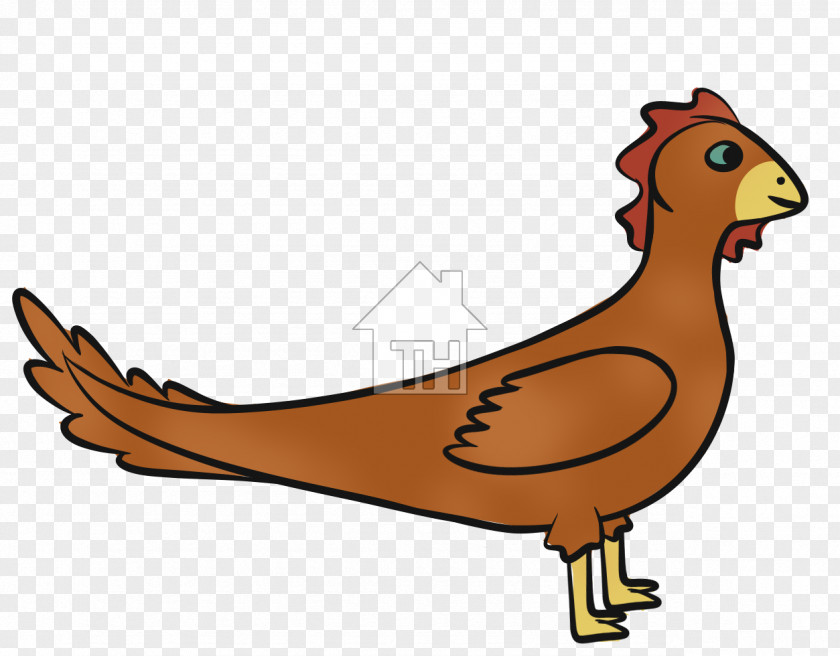 Chicken Cygnini Goose Duck Clip Art PNG