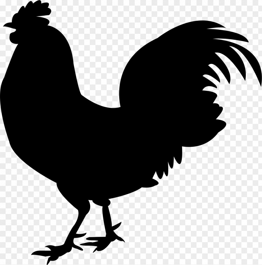 Rooster Chicken Meat Silkie PNG