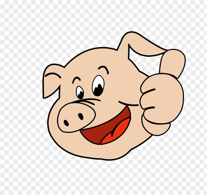 The Pig 's Pig' S Head Cartoon Avatar Domestic PNG