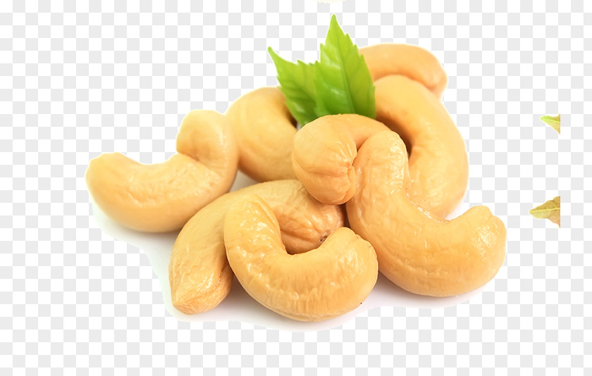 Cashew Nuts Goan Cuisine Nut Pistachio Almond PNG