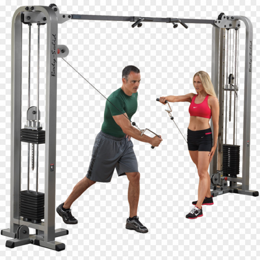Gym Fitness Centre Human Body Strength Training Physical Exercise PNG