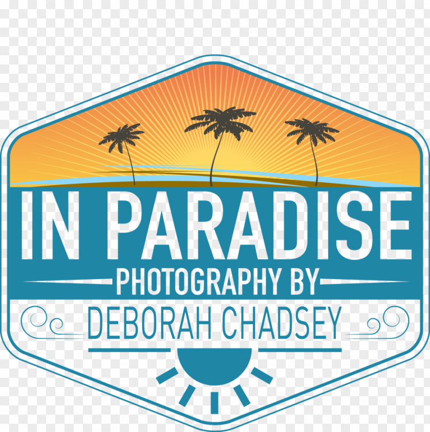Palms Las Vegas The View Paradise Logo Brand Font Product PNG
