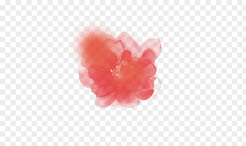 Pink Peach Watercolor Painting PNG