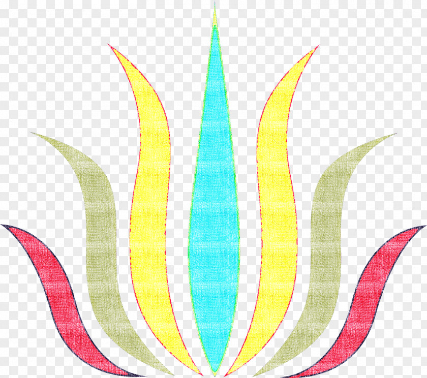 Plant Symmetry PNG