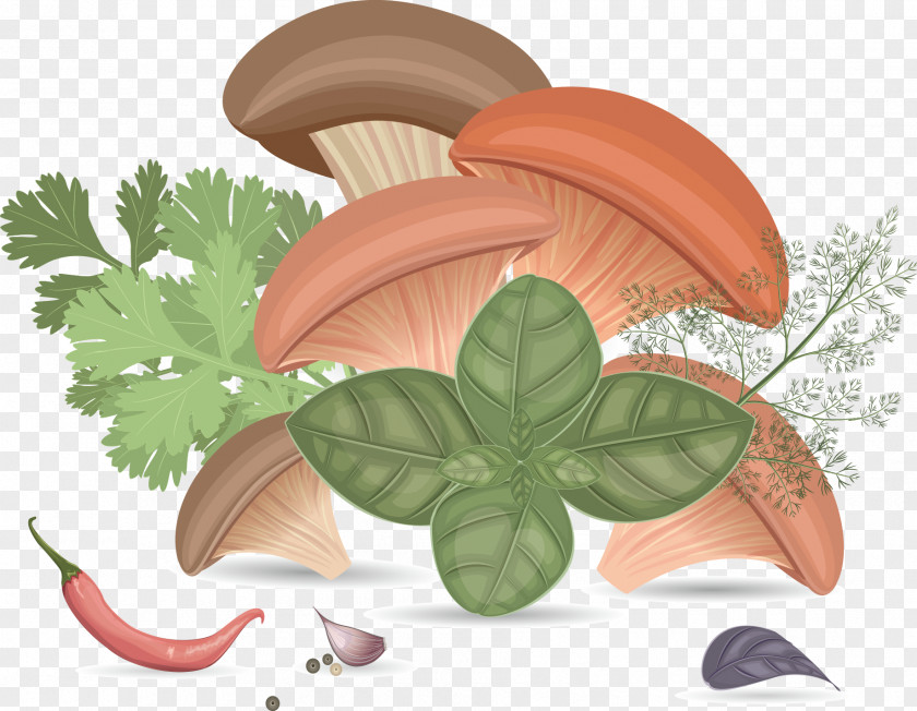 Wild Mushrooms Mushroom Herb Clip Art PNG