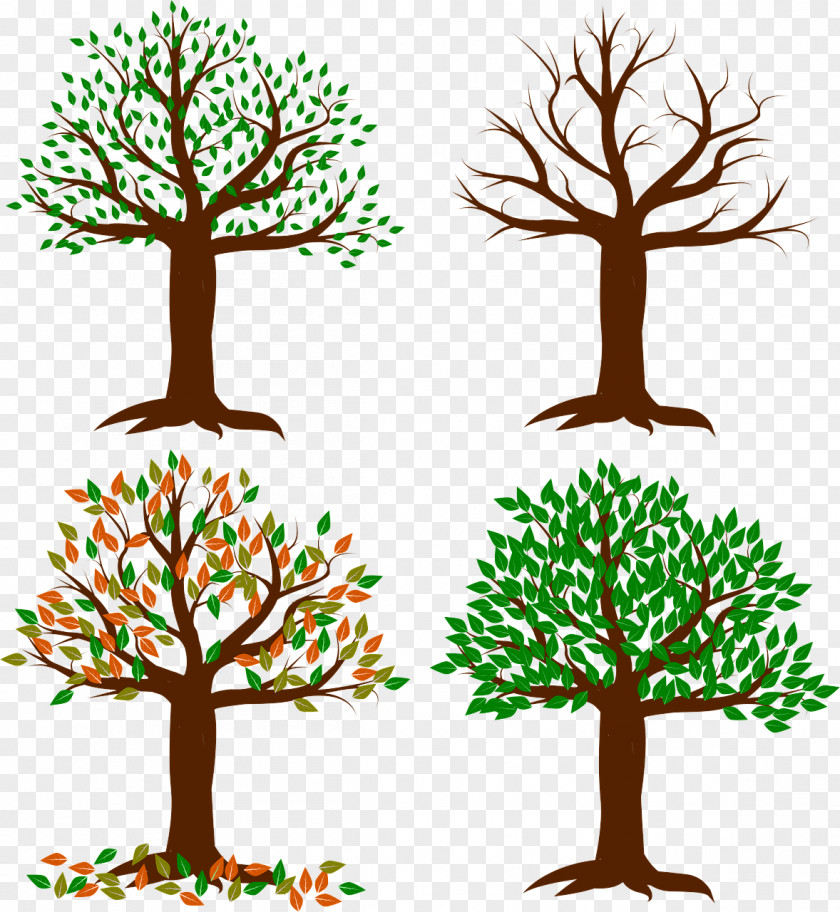 Arbor Day American Larch PNG