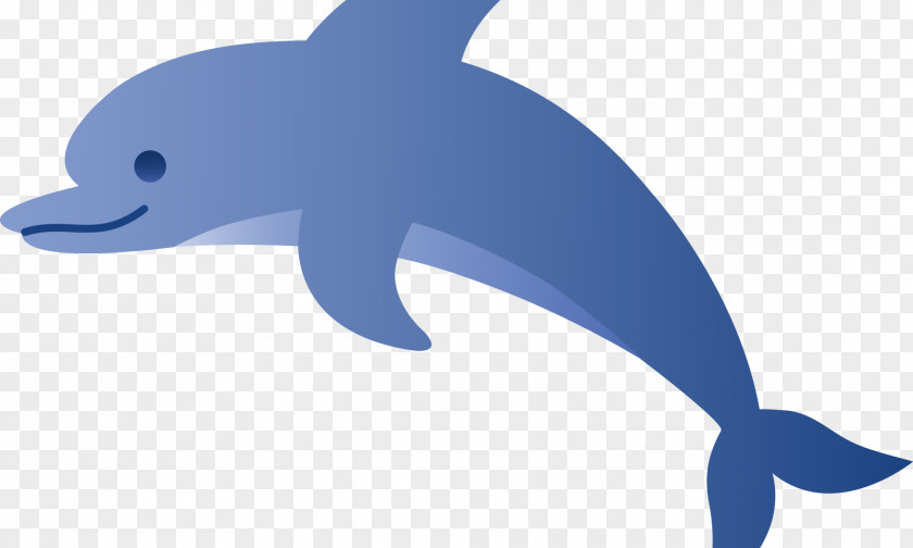 Dolphin Common Bottlenose Porpoise Spinner Clip Art PNG
