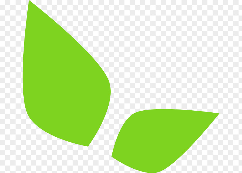 Line Logo Brand Leaf PNG