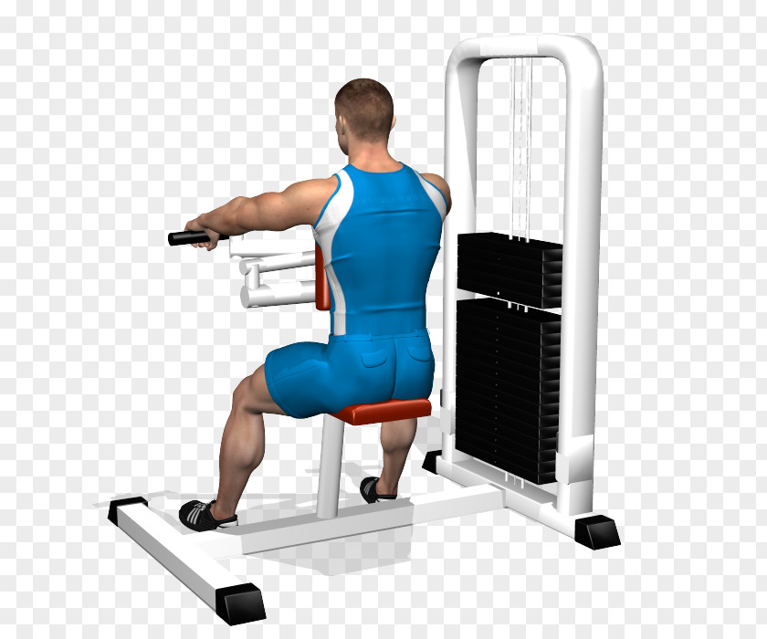 Over Edging Machine Shoulder Physical Fitness Weight Training Human Back Muscle PNG