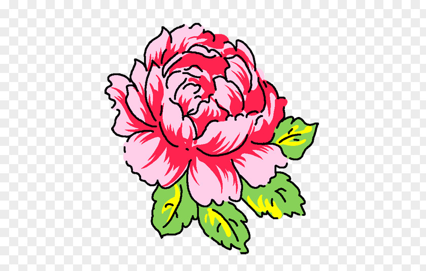 Peony Floral Design Moutan Illustration PNG