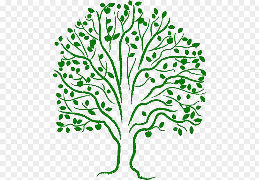 Tree Of Life Methodism Uniting Church In Australia Woman United Nations PNG