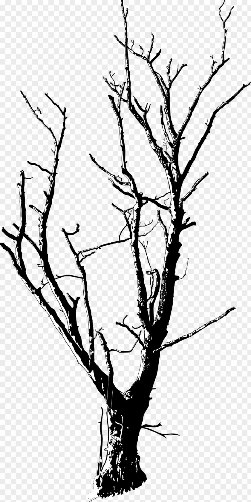 Twigs Tree Branch Clip Art PNG