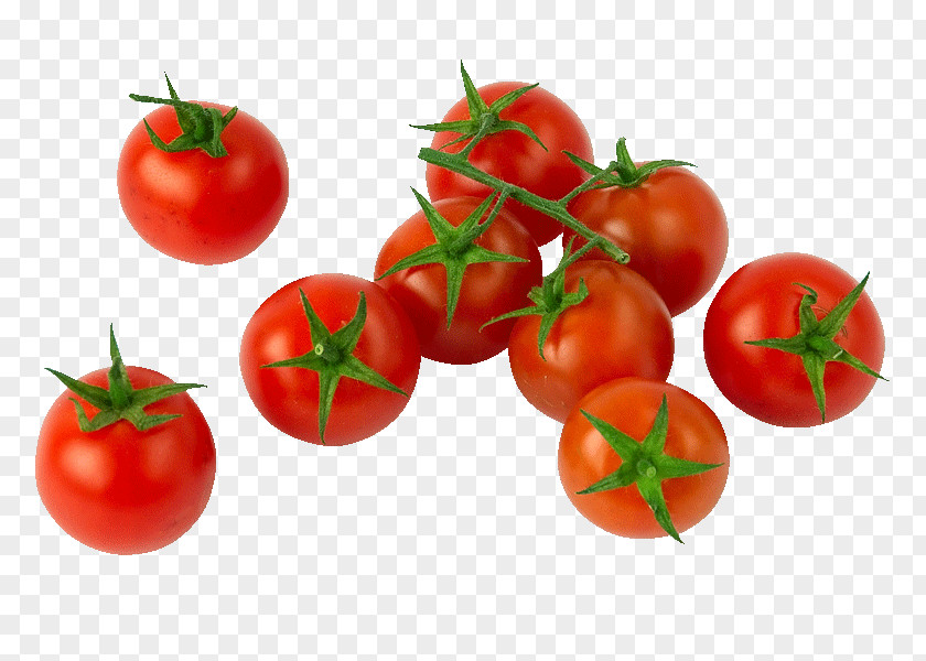 Vegetable Cherry Tomato Italian Cuisine Campari Plum PNG