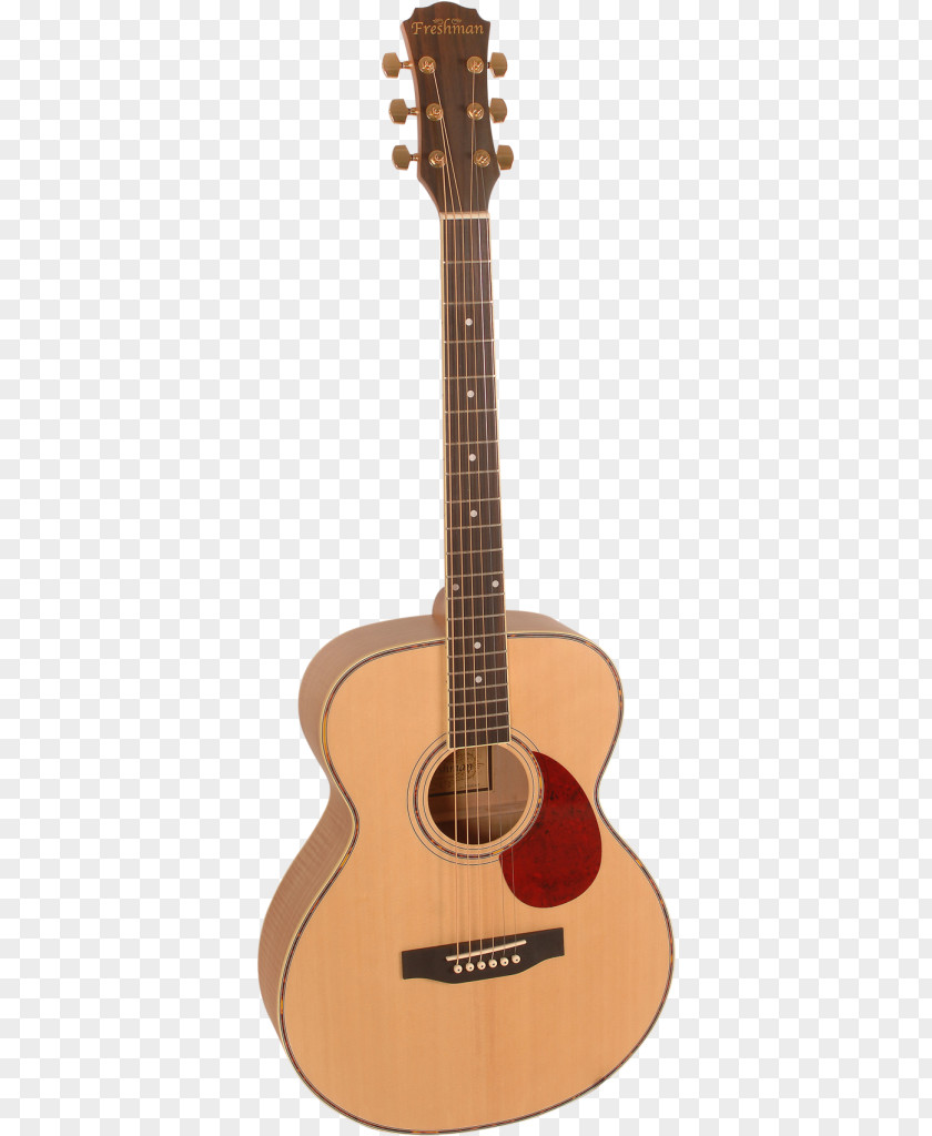 Acoustic Band Dreadnought Twelve-string Guitar Takamine Guitars Acoustic-electric PNG