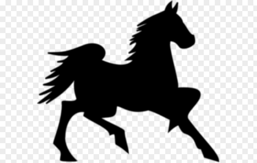 Fire Horse Tennessee Walking Mustang Clydesdale Foal Clip Art PNG