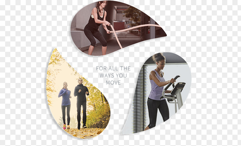 Gym Landing Page Fitness Resource / Johnson & Wellness Store Elliptical Trainers Treadmill Exercise Physical PNG