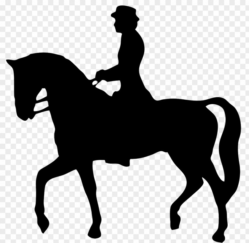 Horse Clip Art Equestrian English Riding Openclipart PNG