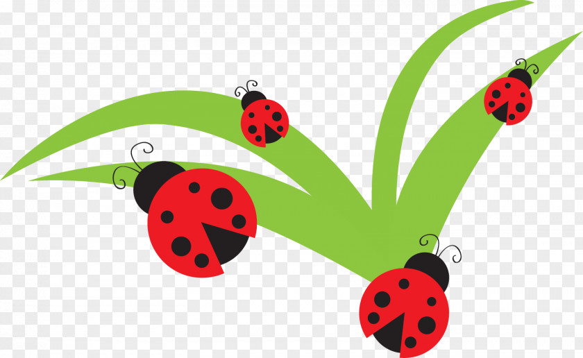 Ladybug Birthday Cliparts Ladybird Drawing Clip Art PNG