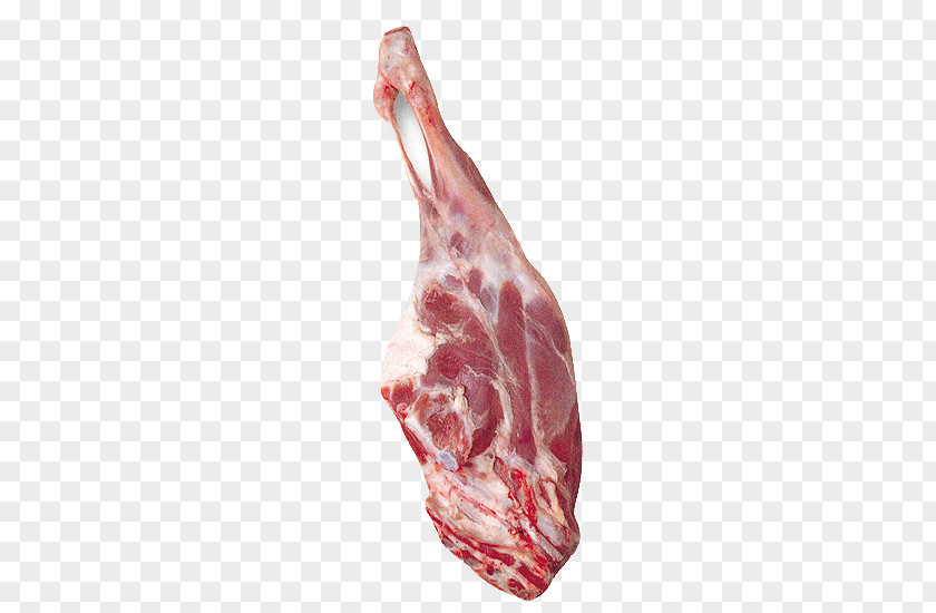 Meat Lamb And Mutton Beyti Kebab Çiğ Köfte Chop Red PNG