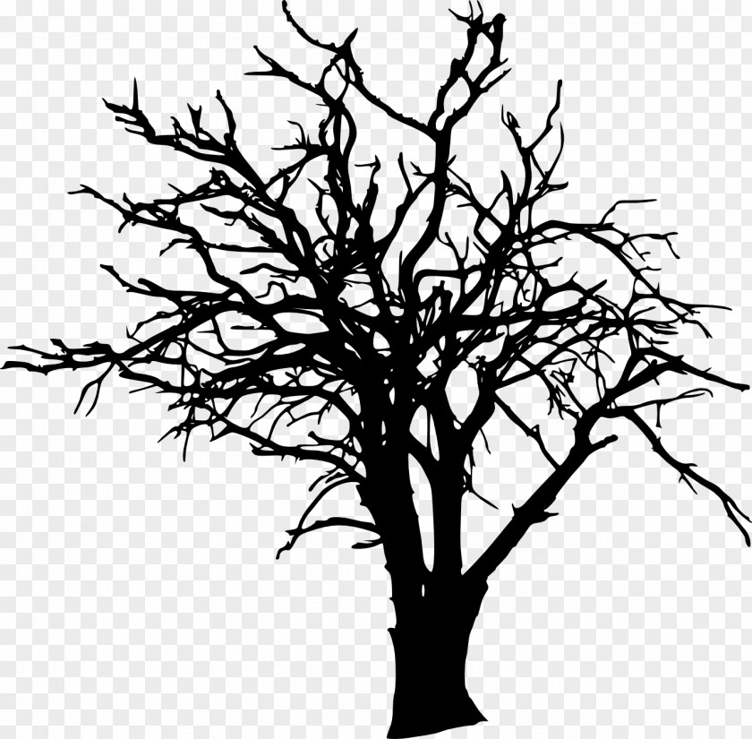 Tree Silhouette Branch Clip Art PNG