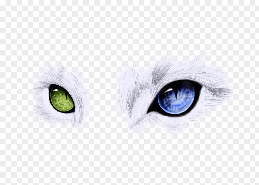 Two Are Blue And Green Cat Eyes Ojos Azules Odd-eyed Cats Eye PNG