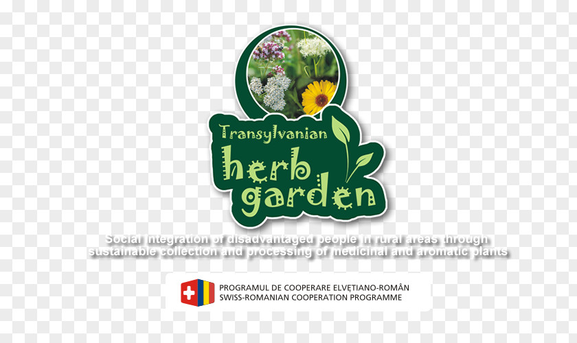 Herb Garden Logo Brand Font PNG