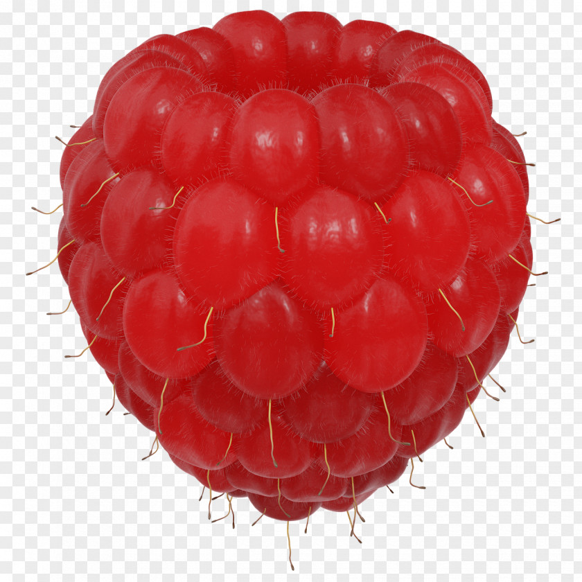 Raspberry Red Auglis Fruit PNG