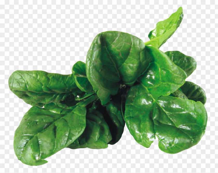 Spinach Salad Vegetarian Cuisine Vegetable Clip Art PNG