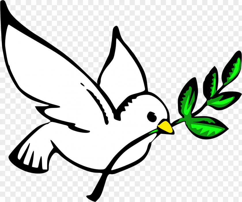 Catholic Dove Doves As Symbols Peace Pigeons And Clip Art Drawing PNG